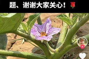 CBA官方：布莱德索当选本赛季第3期月度最佳防守球员